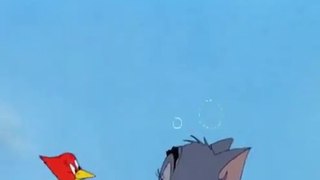 Tom And Jerry Cartoon in Hindi Language 2015 ~ Tom Jerry Tee for Two ~ Best Cartoon 2015