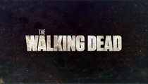 The Walking Dead Stars Norman Reedus and Steven Yeun Help Car Crash Victims - Report