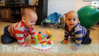 FUNNY TWIN BABIES COLLECTION