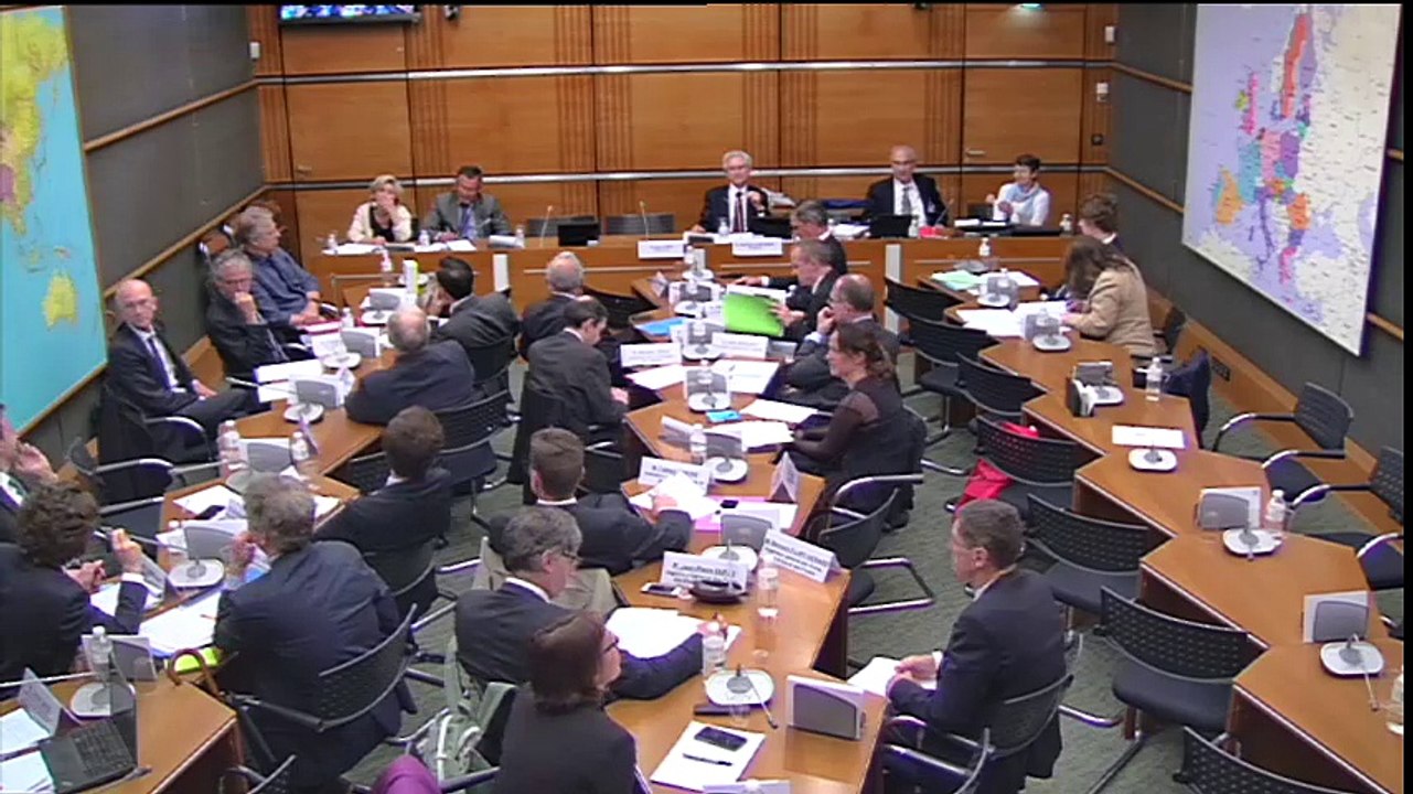 Avocat Robin des Toits Table ronde compteur Linky _ Assemblée Nationale