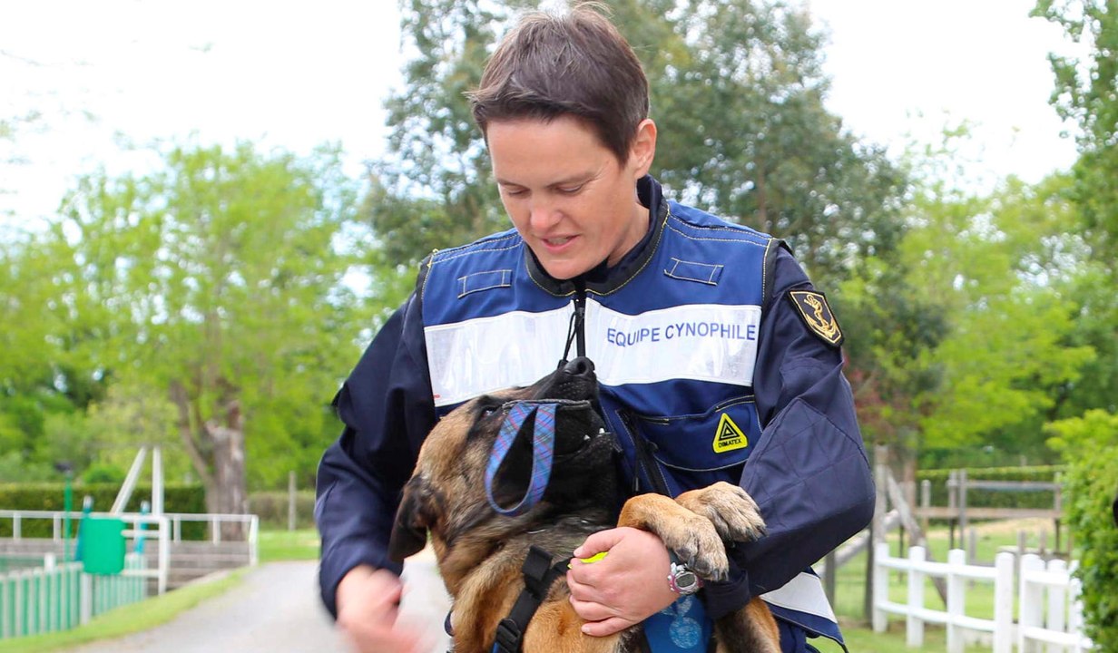 Euro 2016 : les chiens, alliés des gendarmes dans la lutte antiterroriste