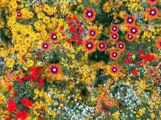 Ive-Looked-At-Clouds-From-Both-Sides-Jungle-Beat-Season-1