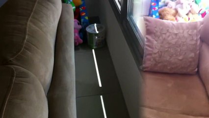 Teddy Bear plays Sits on IRobot Roomba 530