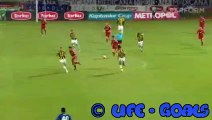 Aatif Chahechouhe Goal HD - Sivasspor 1-0 Fenerbahce - 19.05.2016