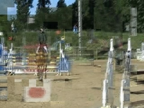 CSO de Chevreux : Arôme