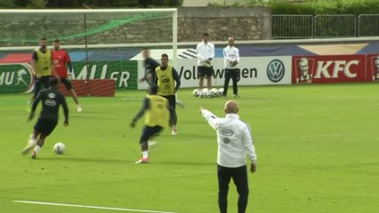 Foot - E21 - Bleus : Ben Arfa en vedette jeudi à Biarritz