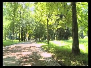 aloe vera  forever, Dalla pianta al prodotto a te