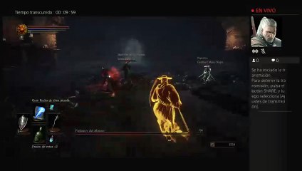 Vigilantes by francis (15)