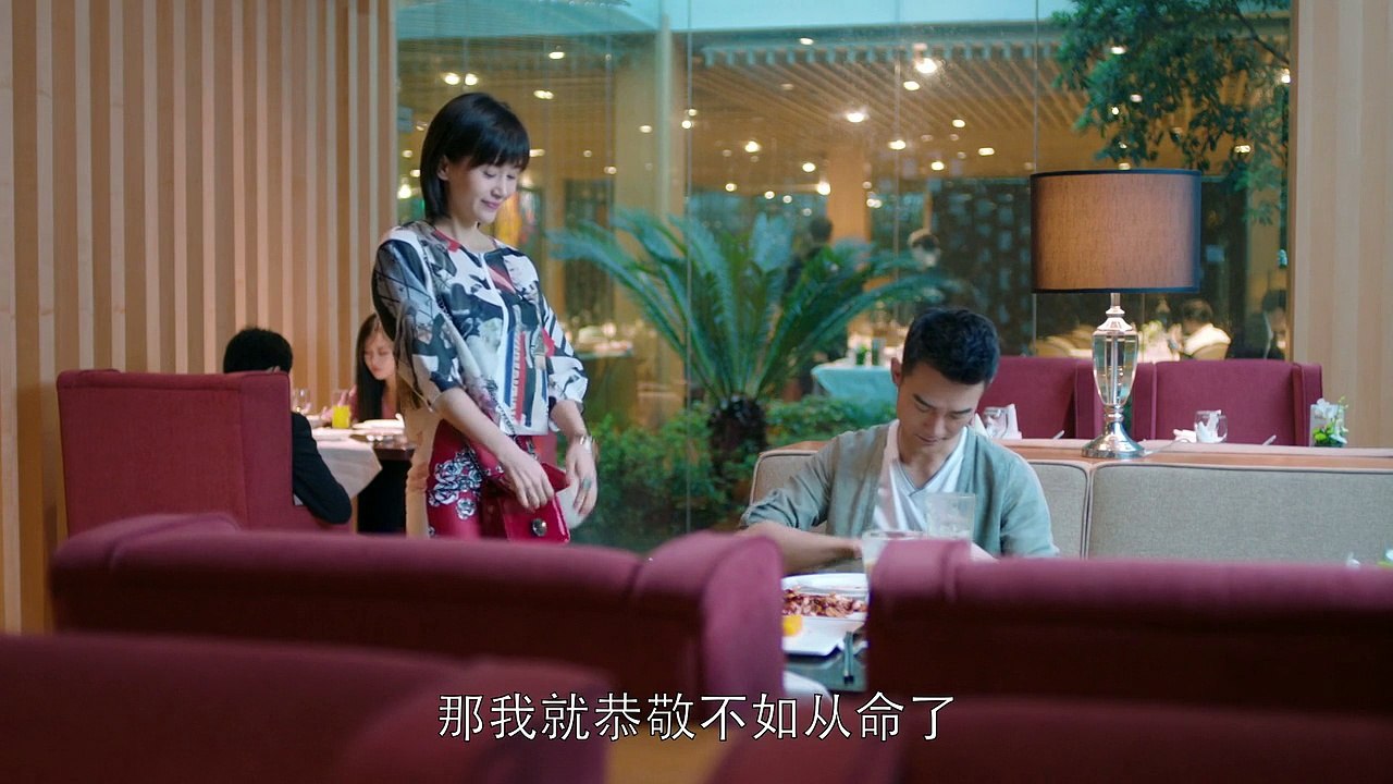 欢乐颂（18）Ode to Joy 2016 汉语普通话