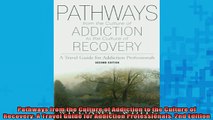 READ book  Pathways from the Culture of Addiction to the Culture of Recovery A Travel Guide for Full EBook
