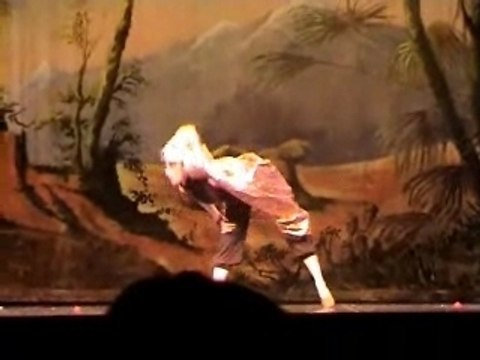 Comedie musicale du Roi lion - The Lion King