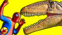 SPIDERMAN vs HULK T-Rex vs Spiderman Dinosaurs Jigsaw Battle - Superhero Fun in Real Life - SHMIRL (1080p)
