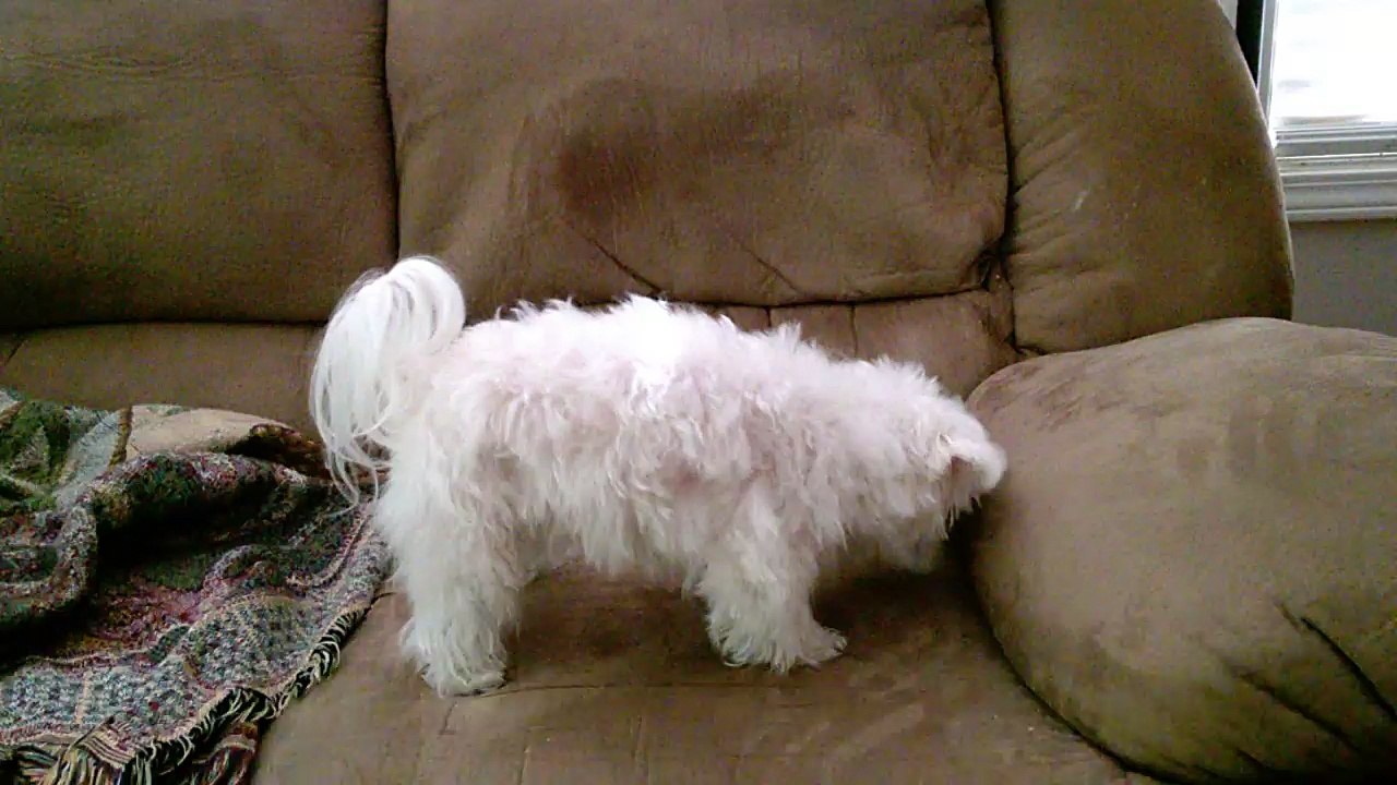 Lily Being Goofy