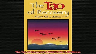 READ book  The Tao of Recovery A Quiet Path to Wellness Full Free