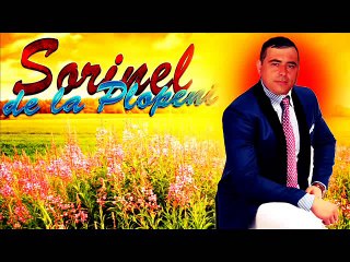 SORINEL DE LA PLOPENI NOU 2016 COLAJ HAIDE NEVAS MEA MUZICA DE CHEF NOU [SD, 480p]