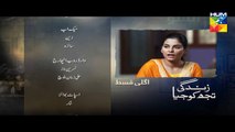 Zindagi Tujh Ko Jiya Episode 52 Promo HD Hum TV Drama 18 May 2016