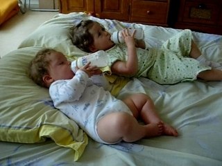 Les loulous prennent leur petit dej