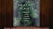 Free Full PDF Downlaod  Healing Plants Medicine of the Florida Seminole Indians Full Ebook Online Free