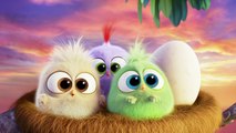 Happy Mothers Day From The Angry Birds Movie Cute