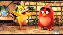 Animação 'Angry Birds - O Filme' estreia nos cinemas
