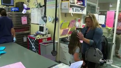 Ce berger allemand sauve la fille d'une fillette de 2 ans