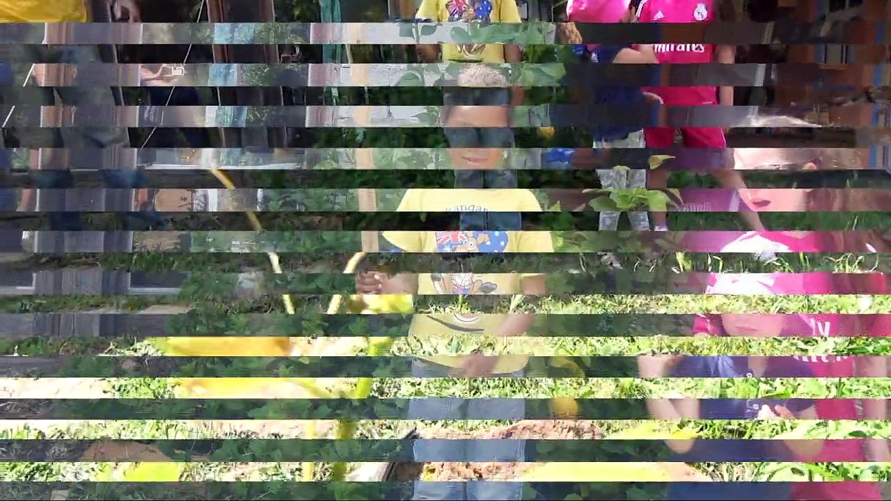 spécial Mady - mai 2016