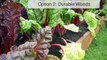 How to Build Raised Beds for Your Vegetable Garden