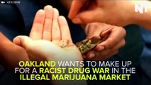 Oakland Is Making Up For Jailing People For Weed By Letting Them Open Dispensaries