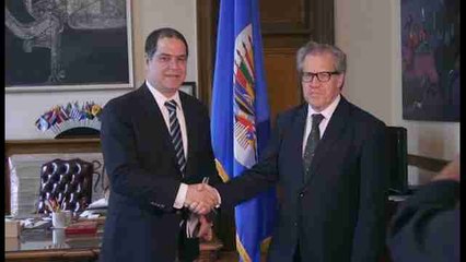 El Parlamento venezolano pide a la OEA aplicar la Carta Democrática al país