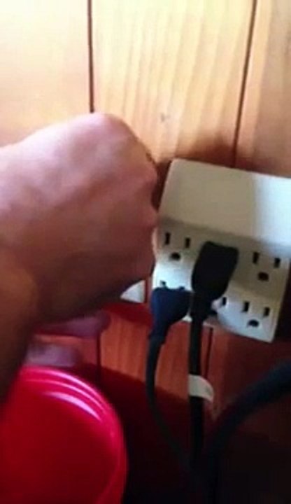 Rat-kangourou coincé dans sa prise électrique