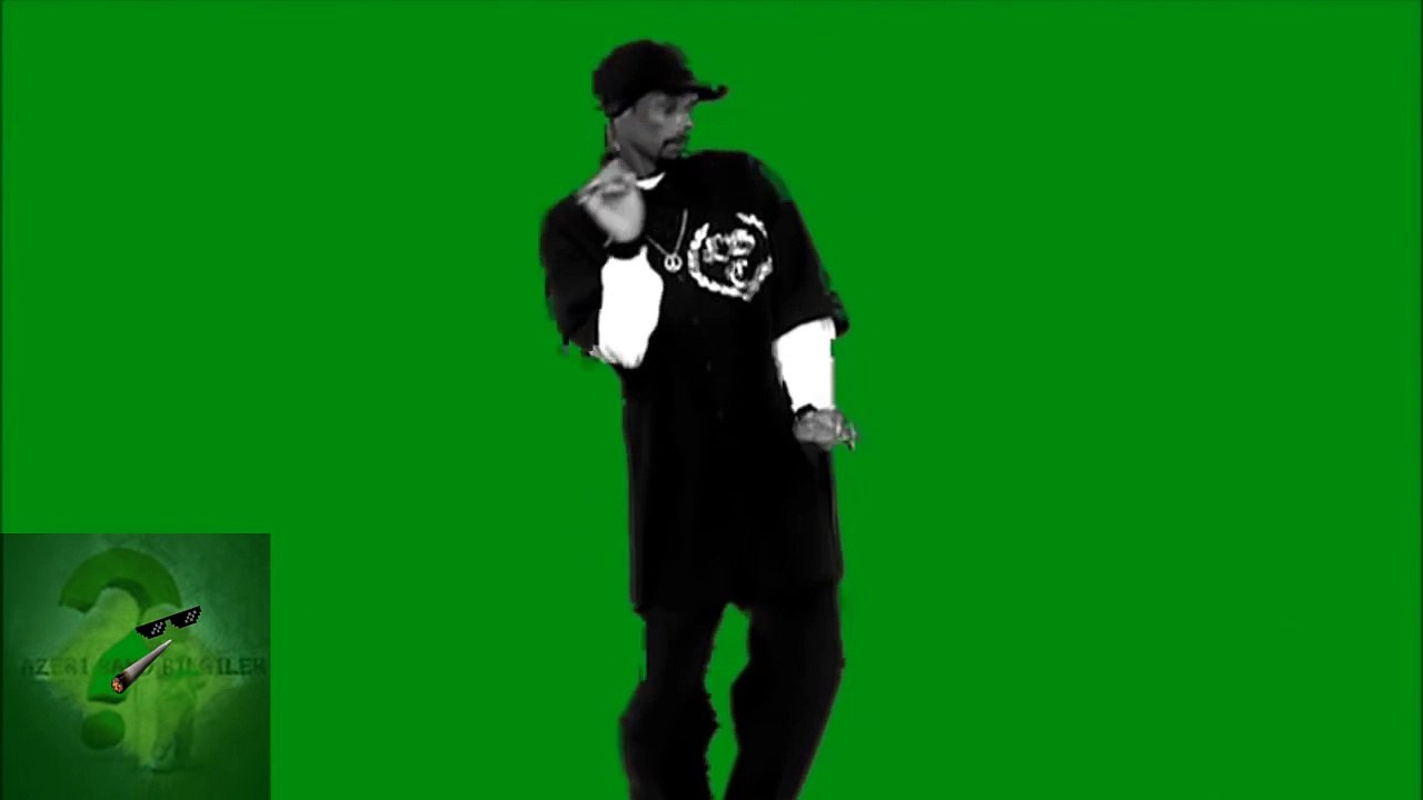 Snoop Dogg Thug Life Dance 2016 With No Backround