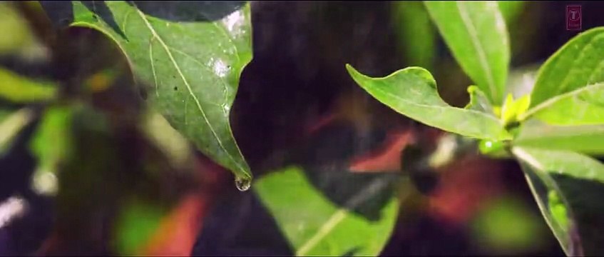 Cham Cham Full Video Song Baaghi 2016 Shraddha Kapoor, Tiger Shroff - New Songs - Video Dailymotion