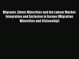 Read Migrants Ethnic Minorities and the Labour Market: Integration and Exclusion in Europe