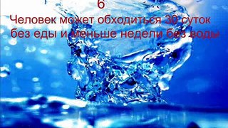 •10 интересных фактов о воде•