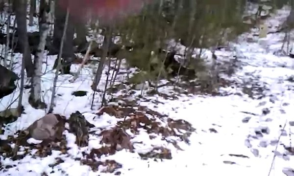 Ruger Mark 1 .22 semi-auto pistol