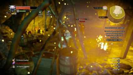 WITCHER 3 DEATH MARCH! WALKTHROUGH 311 - FROM OFIER'S DISTANT SHORES