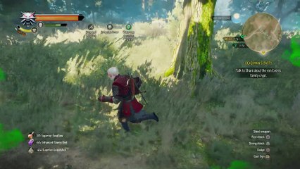 WITCHER 3 DEATH MARCH! WALKTHROUGH 315 - EVIL'S SOFT FIRST TOUCHES