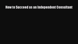 Read How to Succeed as an Independent Consultant Ebook Free