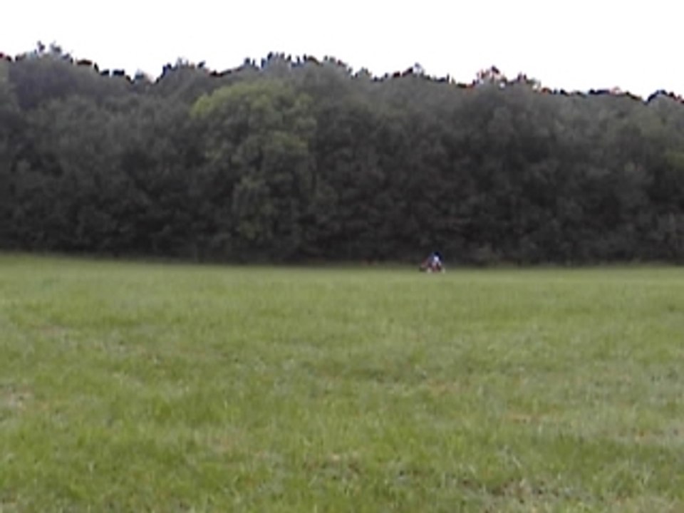 warrior en action (vieux mais costaud)