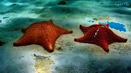 YANNI-One Man's Dream(Ledovskiy Valeriy Remix) HD,HQ