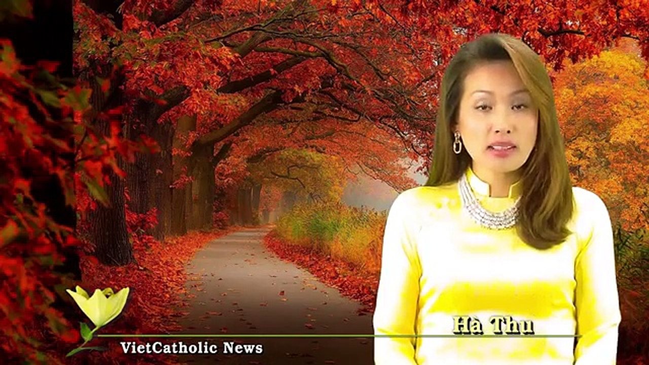 Suy niệm với ĐTC Phanxicô - 09.07.2015 - Câu chuyện Vị Tiên tri cô độc