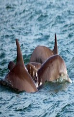 인터넷배팅사이트 ⓑ~、Supercar123。COM 추천:6623、~ヱ스보벳바카라☯단폴허용놀이터