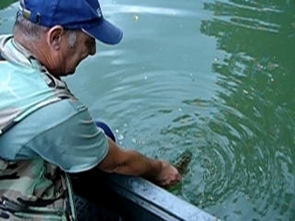 Catch&Release 010707 Vidourle