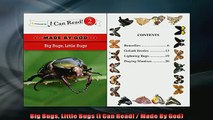 FREE PDF  Big Bugs Little Bugs I Can Read  Made By God  DOWNLOAD ONLINE