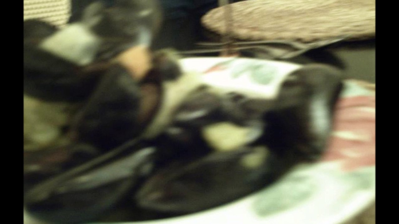 Ey,kochst Du?! Folge 014 Miesmuscheln in Weißwein /Full Film/Complete Movie/Ganzer Film