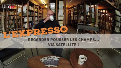 Regarder pousser les champs... via satellite !