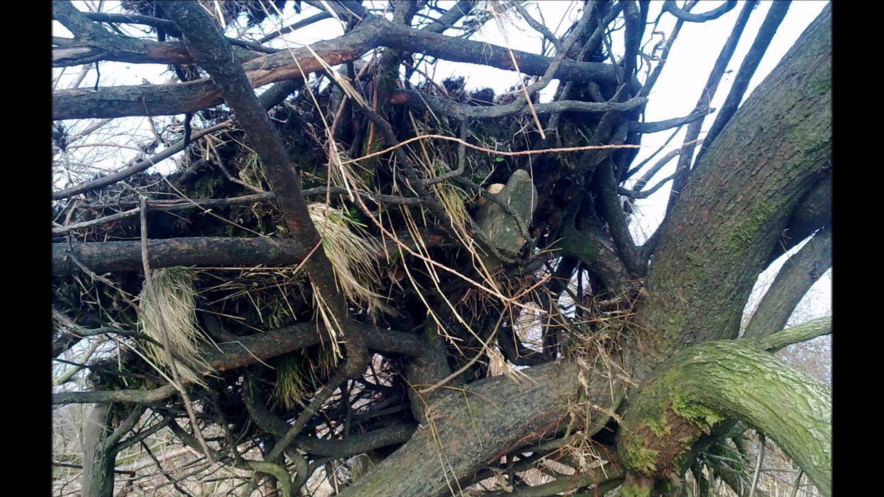 Hetlinger Schanze - Nach dem Orkan Christian Herbst 2013 /Full Film/Complete Movie/Ganzer Film