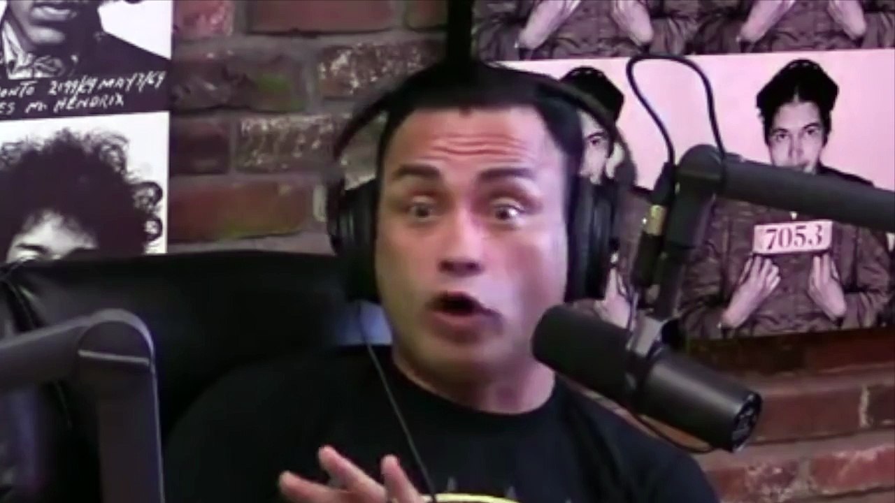 Joe Rogan On Taekwondo In MMA - UFC