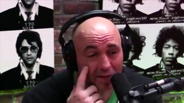 Joe Rogan - Bas Rutten On Low Kicks In MMA - Kicking In The Balls - UFC