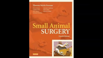 Small Animal Surgery 4e